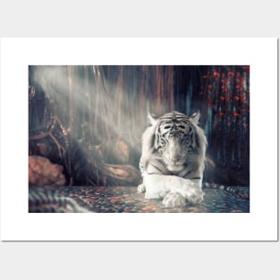 Tiger photograph Posters and Art